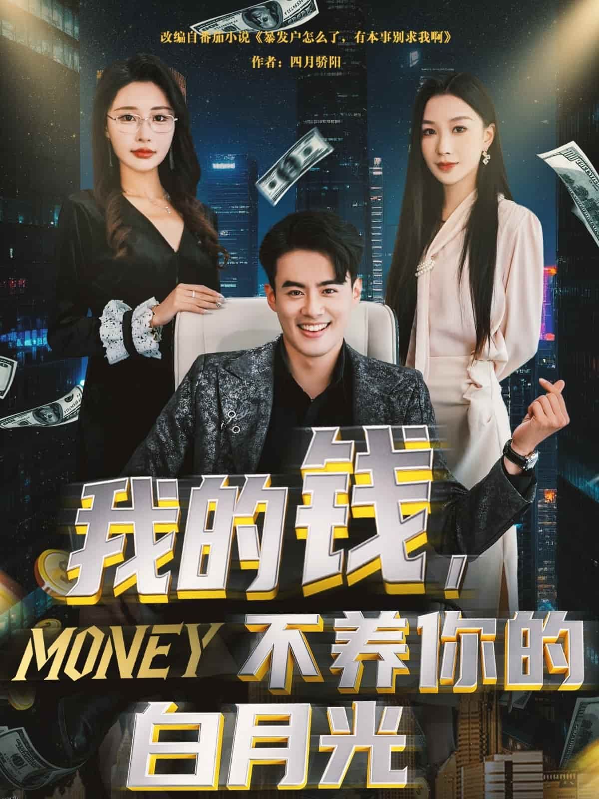 我的钱，不养你的白月光 海报