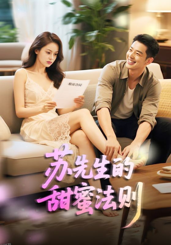 苏先生的甜蜜法则 海报