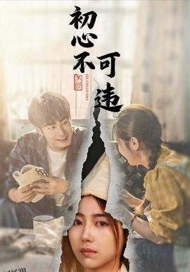 初心不可违 海报
