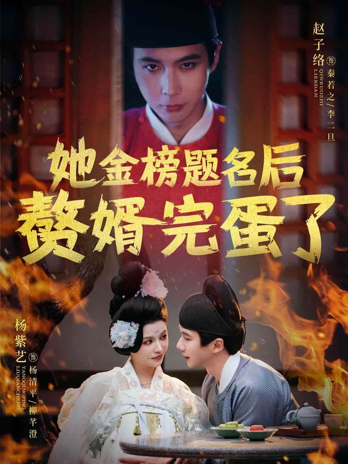 她金榜题名后赘婿完蛋了 海报