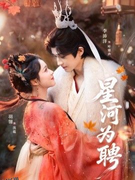 星河为聘 海报