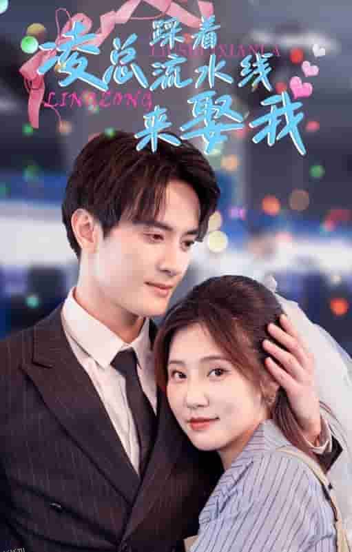 凌总踩着流水线来娶我 海报