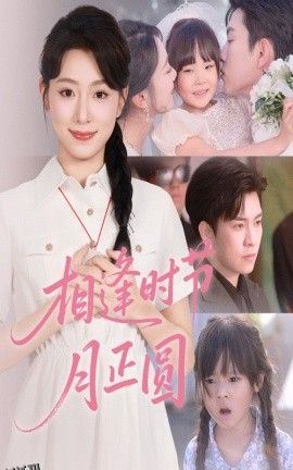 相逢时节月正圆 海报