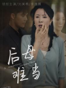 后母难当 海报