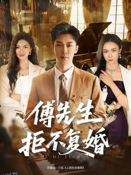 傅先生拒不复婚 海报