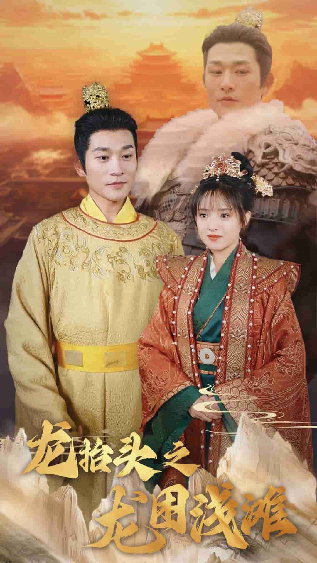 龙抬头之龙困浅滩 海报