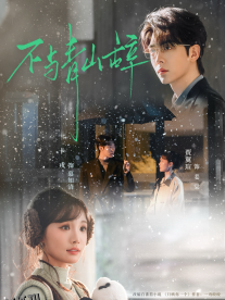 不与青山辞 海报