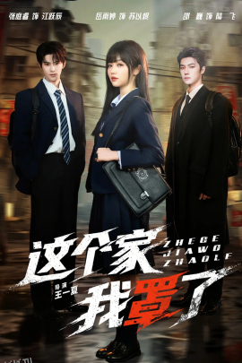 这个家我罩了 海报