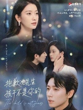 抱歉沈先生孩子不是你的 海报