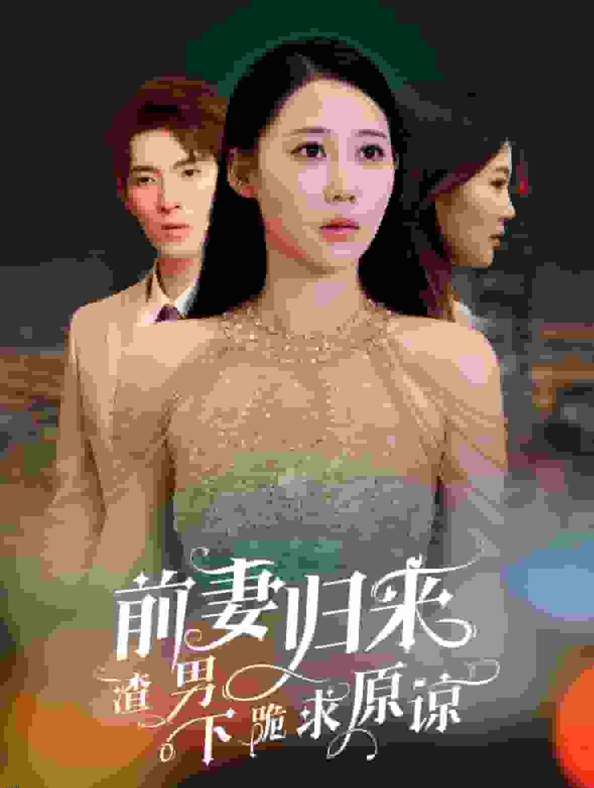 前妻归来渣男下跪求原谅 海报