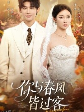 你与春风皆过客 海报