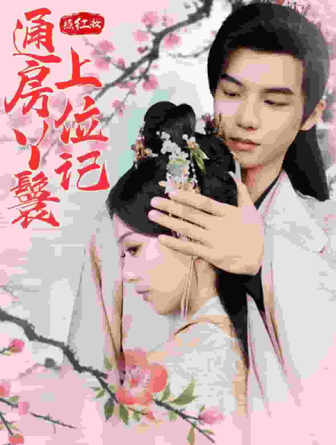 照红妆通房丫鬟上位记 高清海报