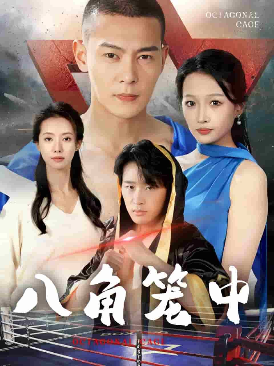 八角笼中 短剧版 海报