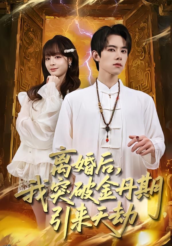 离婚后，我突破金丹期，引来天劫 海报