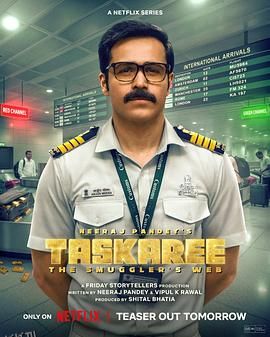 海关英雄：走私暗战 海报