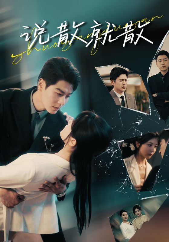 说散就散 海报