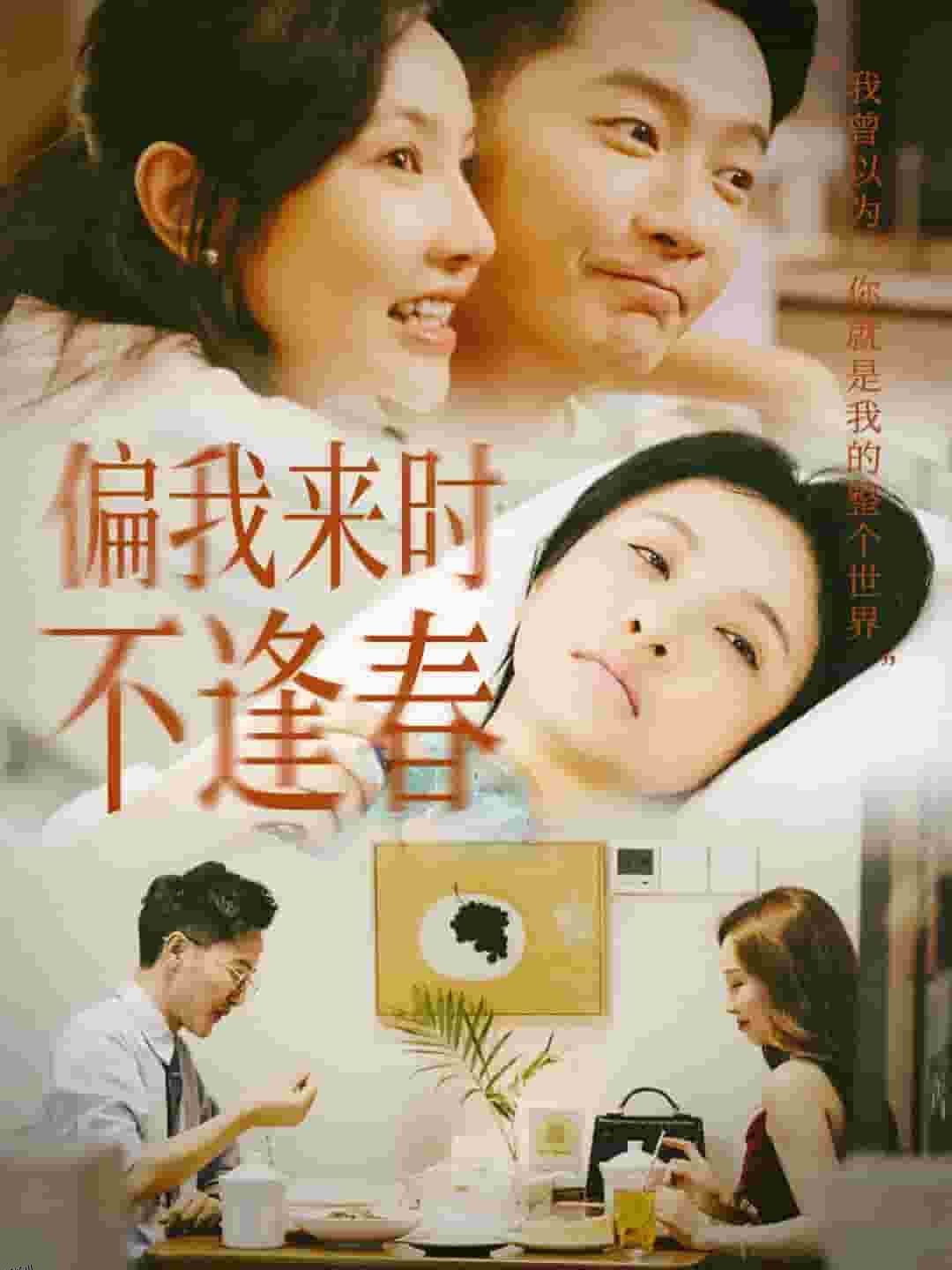 偏我来时不逢春 海报