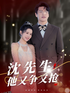 沈先生他又争又抢 高清海报