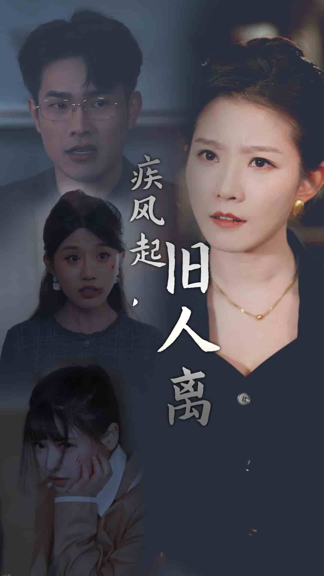 疾风起旧人离 海报