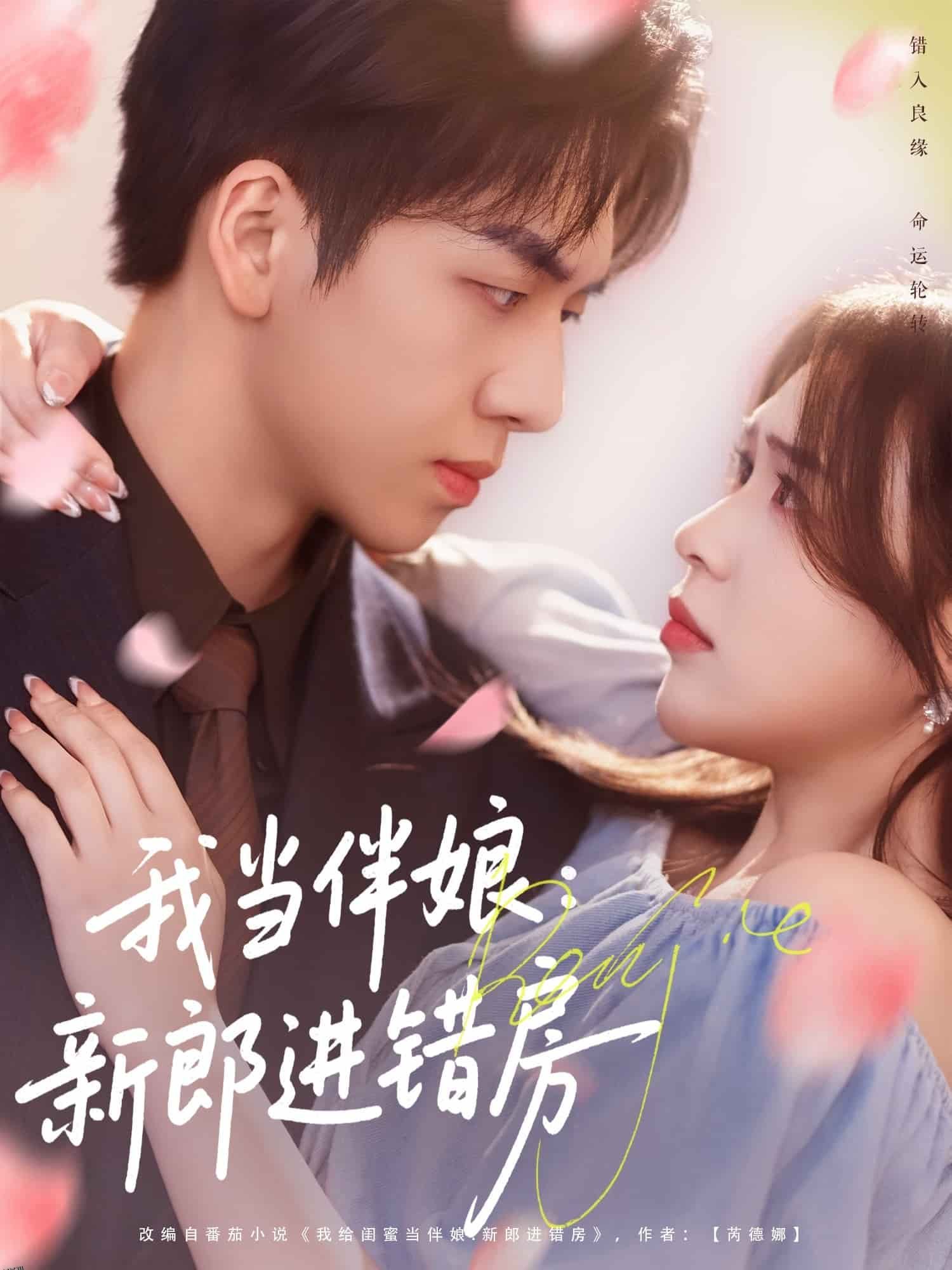 我当伴娘新郎进错房 海报