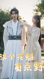 这个花魁有点野 海报