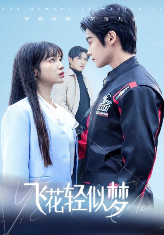 飞花轻似梦 海报