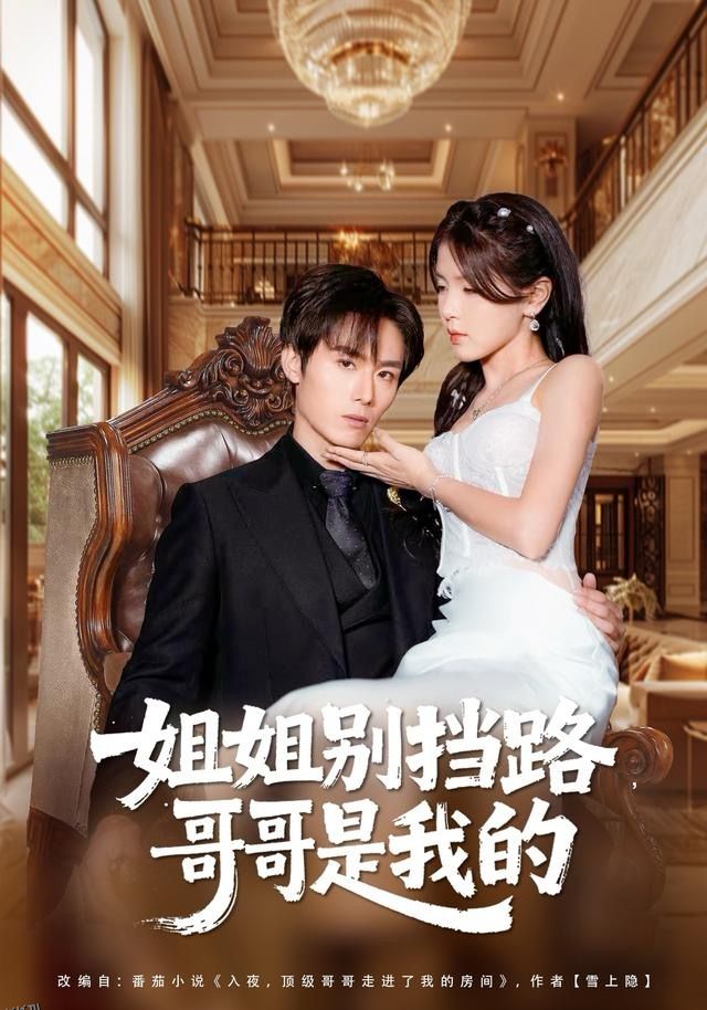 姐姐别挡路，哥哥是我的 海报