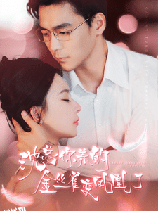 沈总你养的金丝雀变凤凰了 海报