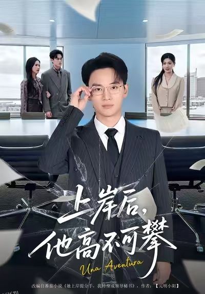 上岸后，他高不可攀 海报