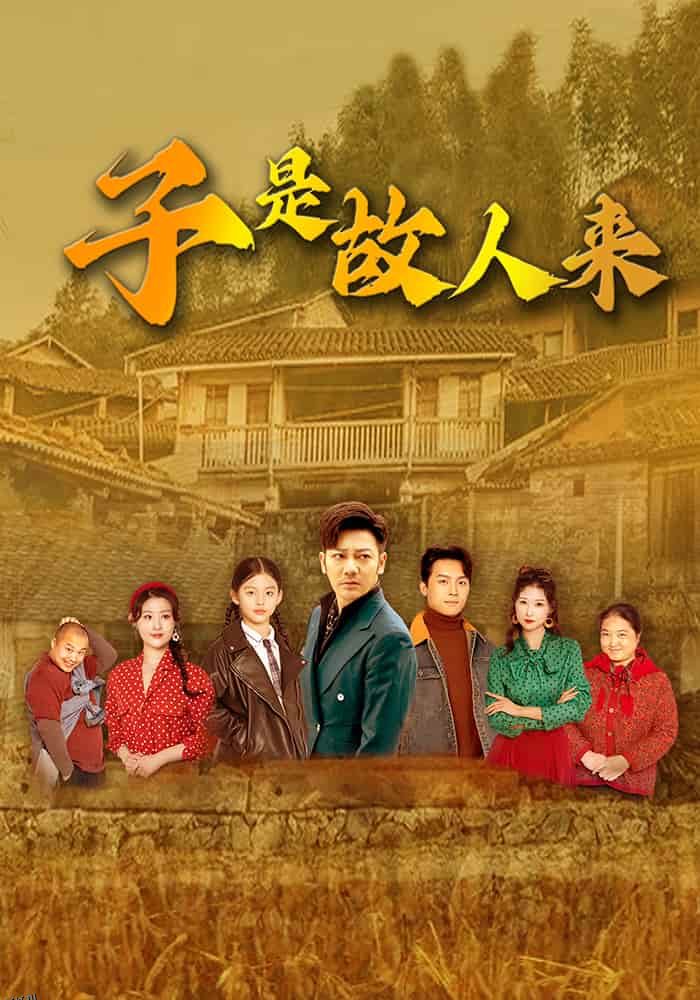 子是故人来 海报