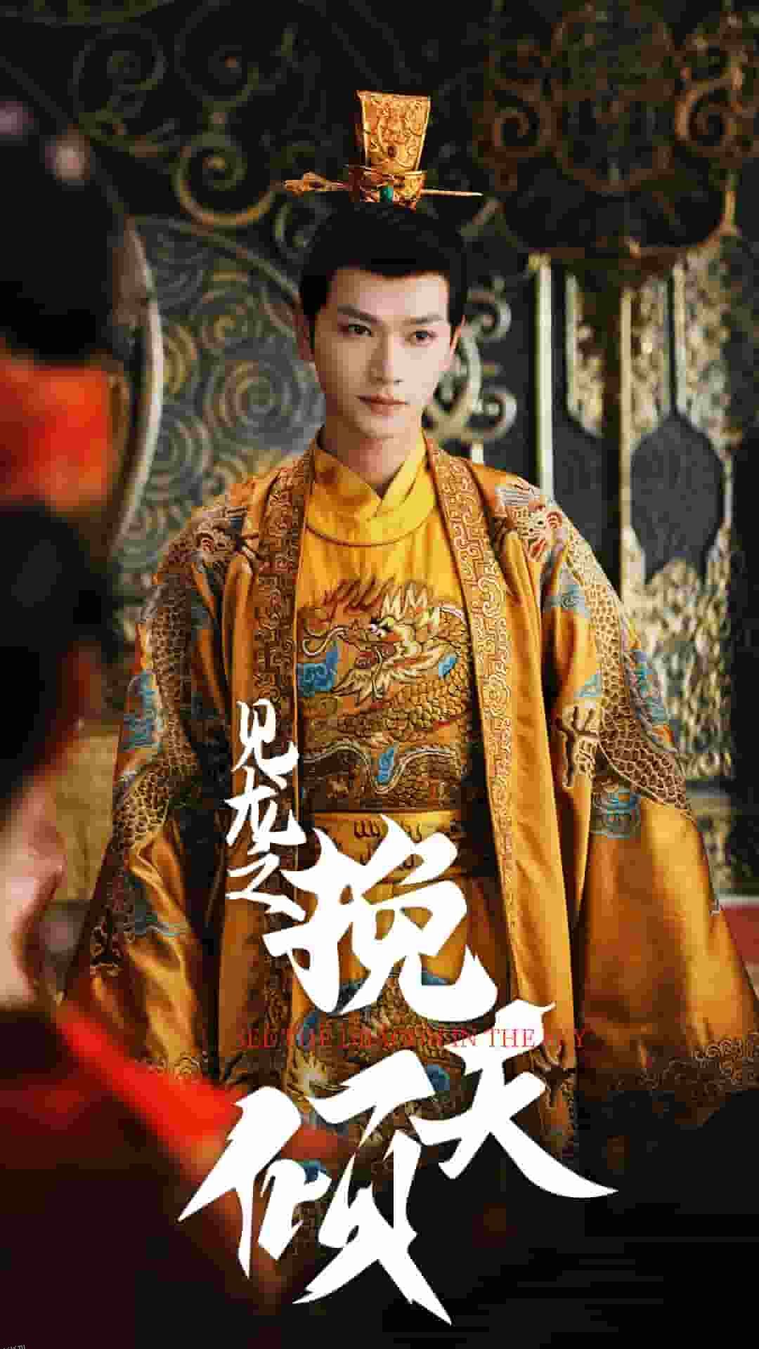 见龙之挽天倾 海报