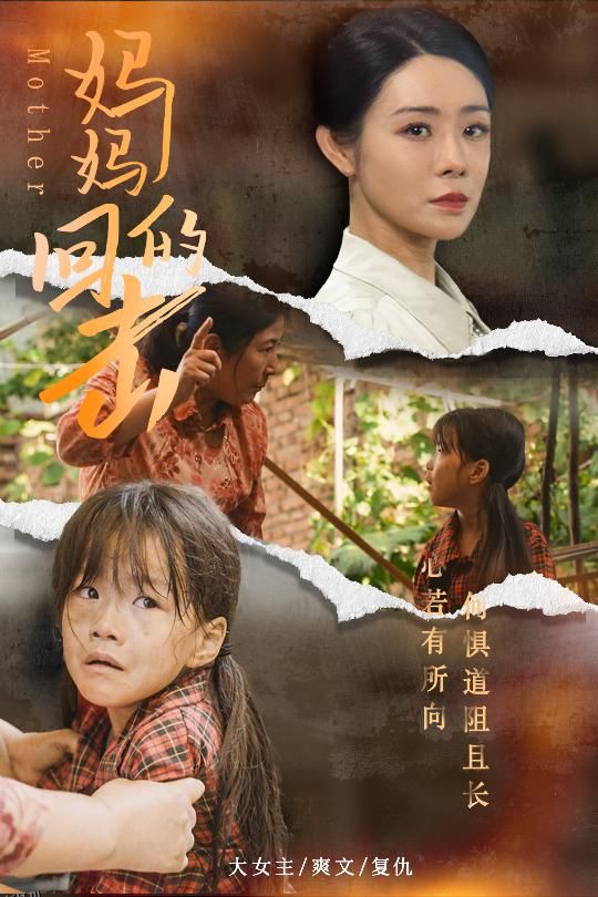 妈妈的回击 海报