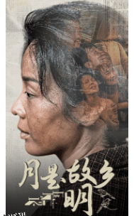 月是故乡明 短剧版 海报