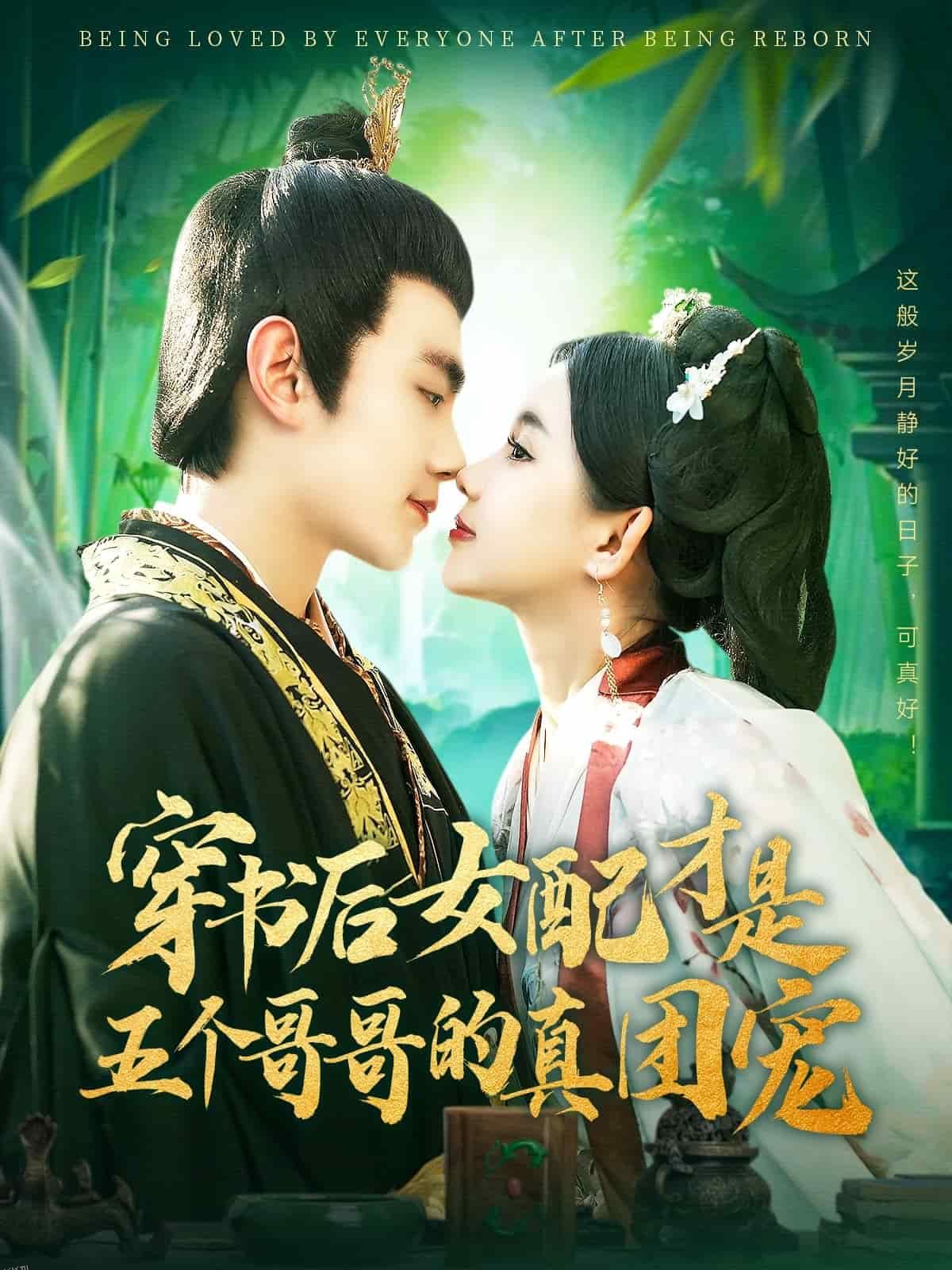 穿书后女配才是五个哥哥的真团宠 海报