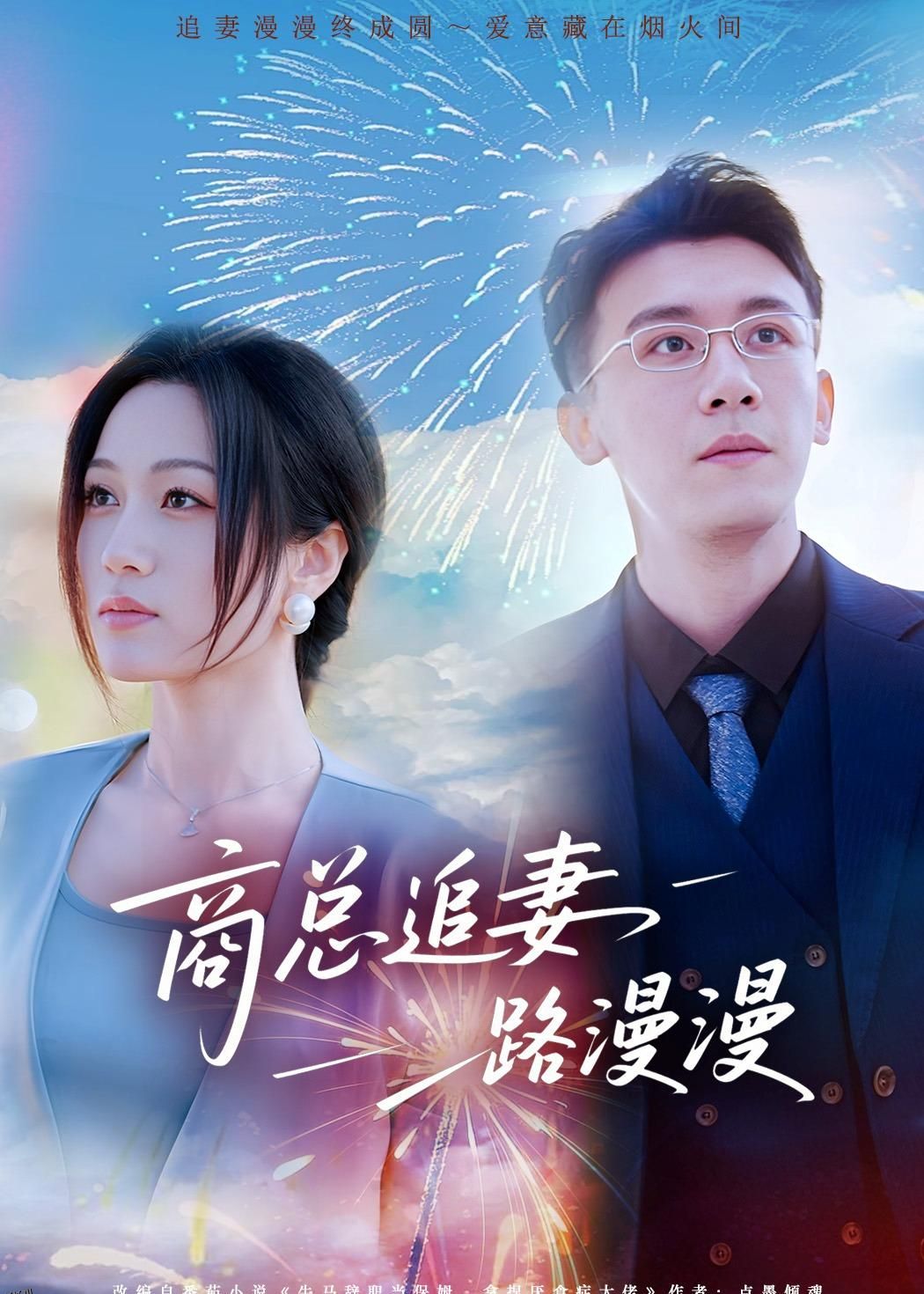 商总追妻路漫漫 海报