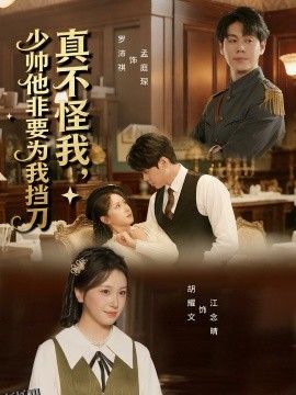 真不怪我，少帅他非要为我挡刀 海报