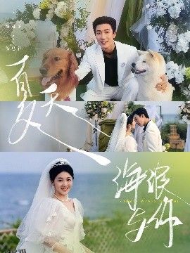 夏天，海浪与你 海报