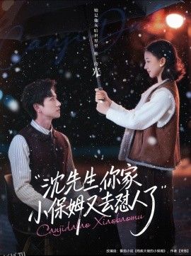 沈先生，你家小保姆又去怼人了 海报