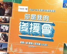 你是我的后援会 高清海报