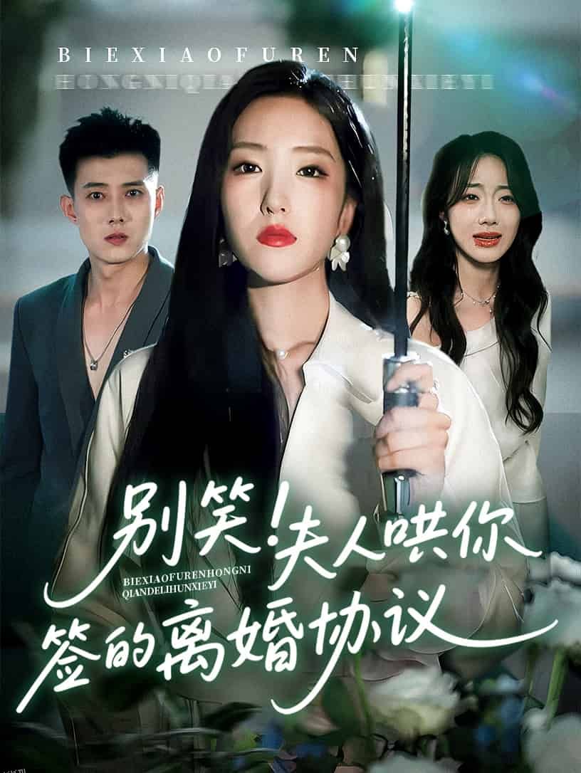 别笑夫人哄你签的离婚协议 海报