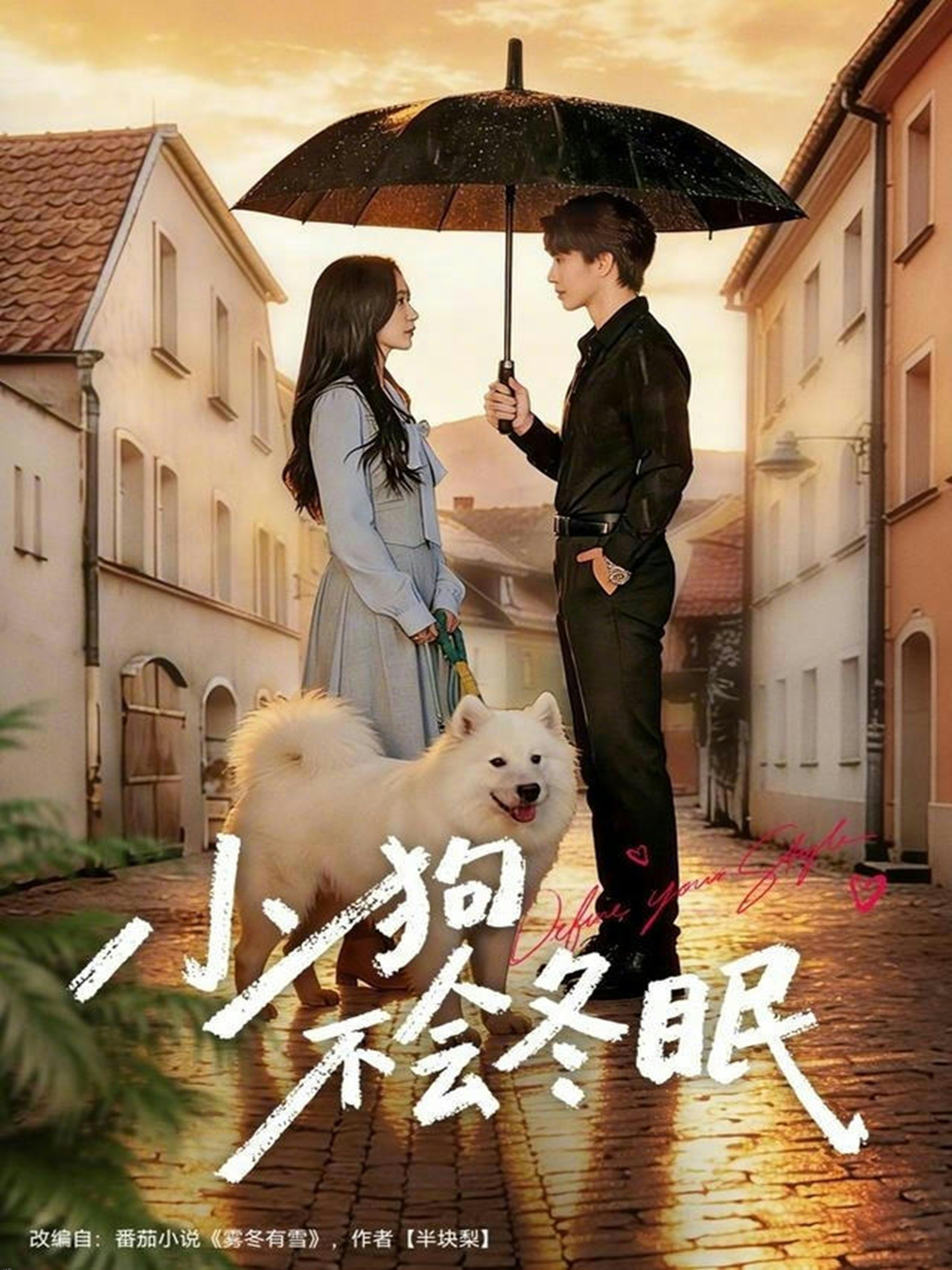 小狗不会冬眠 海报