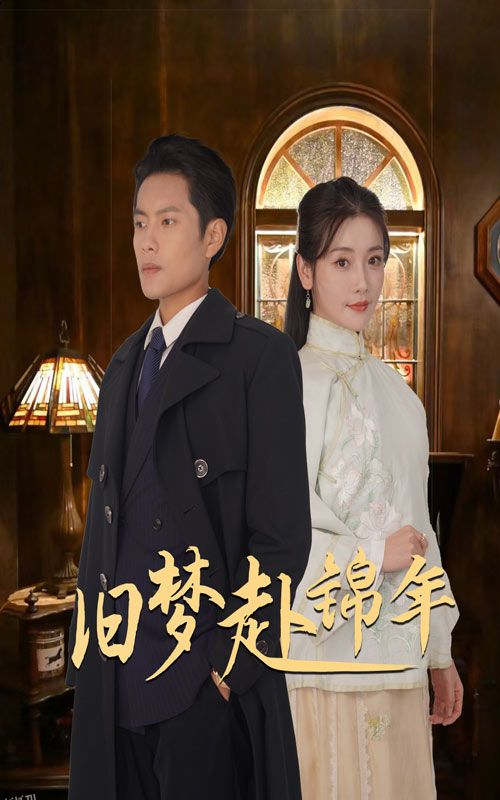 旧梦赴锦年 海报