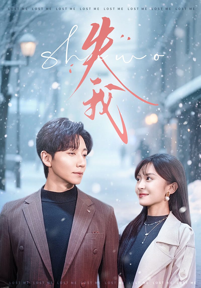 失我 海报