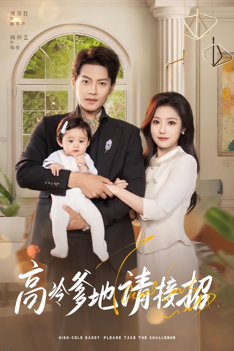 高冷爹地请接招 海报