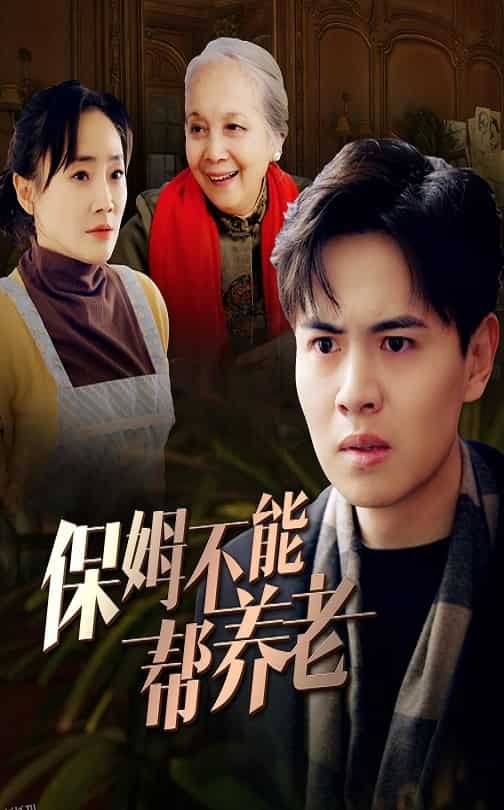 保姆不能帮养老 海报