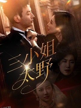 三小姐太野 海报