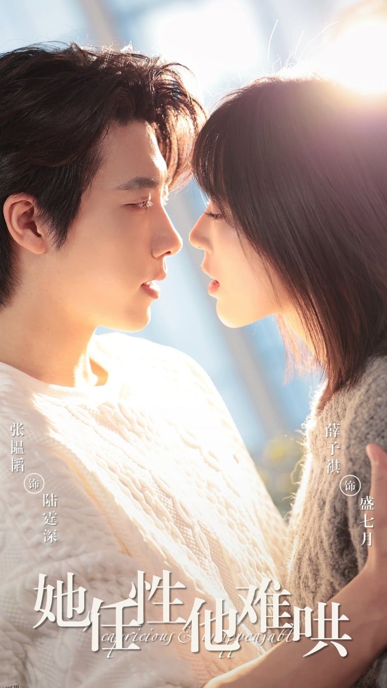 她任性他难哄 海报