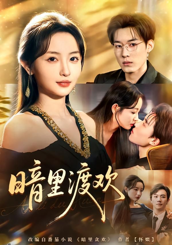 暗里渡欢 海报