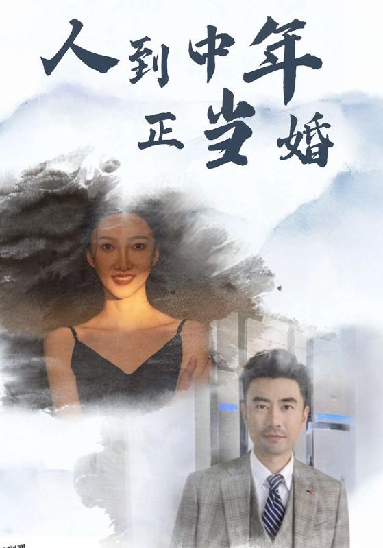 人到中年正当婚 海报