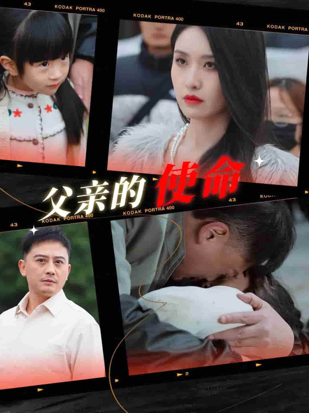 父亲的使命 海报